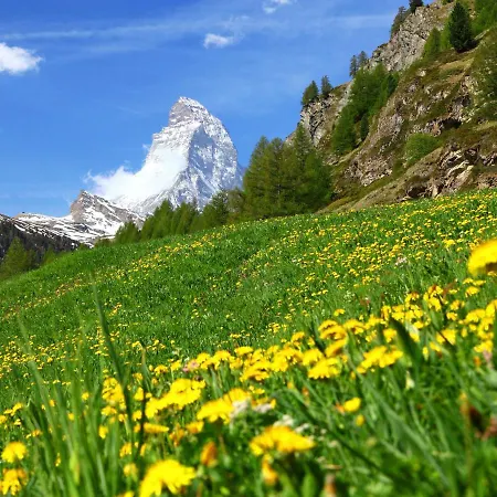 Nyaraló Gaedi By Interhome Zermatt