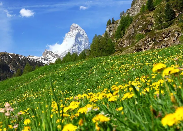 Сasa de vacaciones Gaedi By Interhome Zermatt